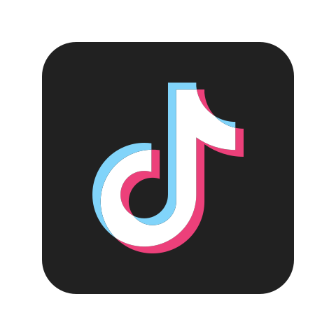 TikTok Icon